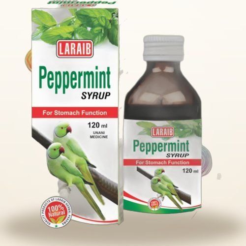 Peppermint Syrup — Stomach & Digestion Syrup — Laraib Herbal Pharma