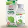 Sharbat-e-Podina — Sugar-Free Mint Syrup — Laraib Herbal Pharma