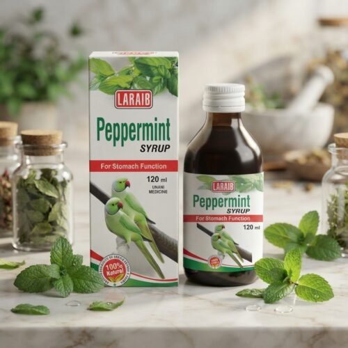 Peppermint Syrup — Stomach & Digestion Syrup